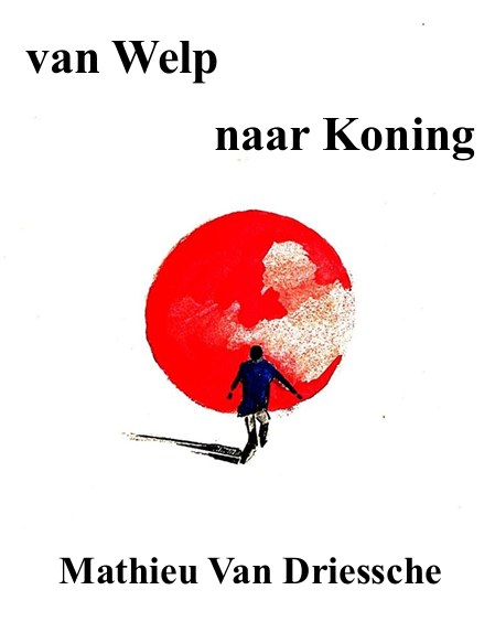 Van Welp naar Koning — boekcover, Mathieu Van Driessche